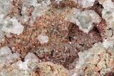 Vanadinite and Calcite Crystal Association - San Carlos Mine #219862-1